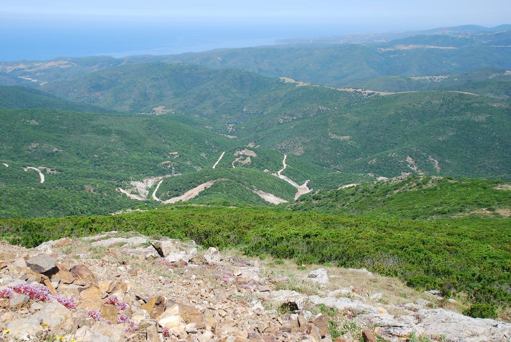 Agriturismo Rocca Su Moru Villa Arbus Kültér fotó