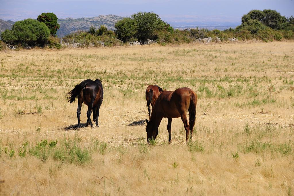 Agriturismo Rocca Su Moru Villa Arbus Kültér fotó